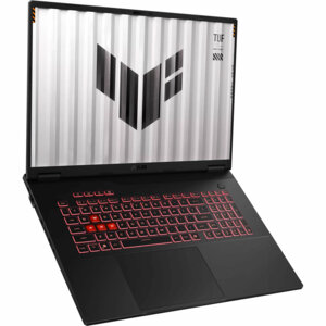 Asus TUF Gaming A16 TUF608PM-RV060W