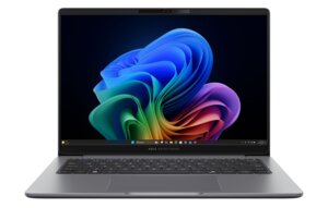 Asus ExpertBook P3 PM3606CKA-MB0034X