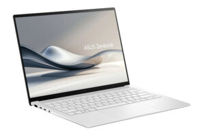 Asus ZenBook S 14 UX5406SA-DICQJ488X
