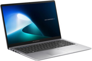 Asus ExpertBook P1 (90NX0881-M033L0)