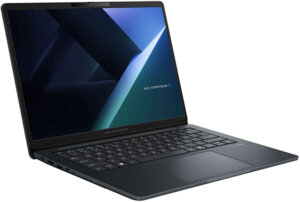 Asus ExpertBook B3406CCA-LY0090X