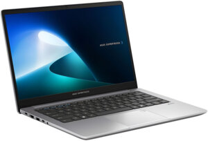 Asus ExpertBook P1 P1403CVA-S61763X