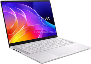 Asus ProArt P14 H7407BA-SM250X