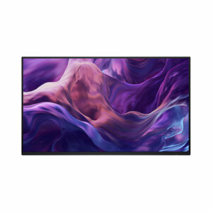 Dell 24 - P2425H WOST