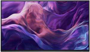 Dell 24 - P2425H WOST