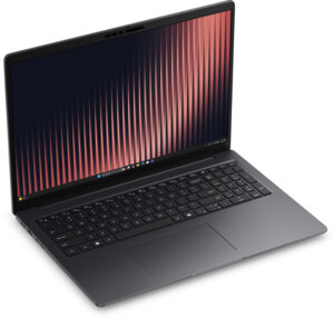 Dell Pro 16 série 3 P316265 (Ryzen AI 5 PRO / 16 Go / 512 Go / W11 Pro / xcto_p316265_emea)