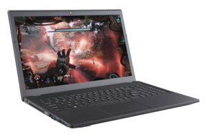 Gigabyte P15F R7 C3W10PRO-FR