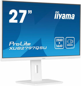 Iiyama Prolite XUB2797QSU-W2 27" IPS 100Hz
