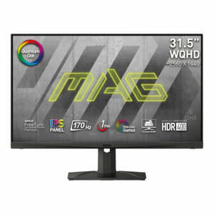 MSI MAG321QR-QD 31,5" 170Hz