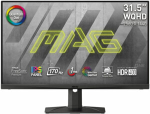 MSI MAG321QR-QD 31,5" 170Hz