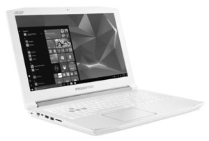 Acer Predator Helios 300 PH315-51-78UA