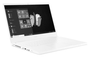 Acer ConceptD 3 CN315-72-570C