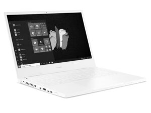 Acer ConceptD 3 CN314-73G-72Y8