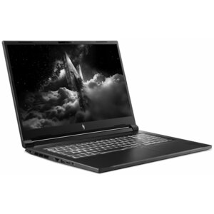 Acer Nitro V 17 AI ANV17-61-R0QC (Ryzen 5 / RTX 4050 / 16 Go / 512 Go)