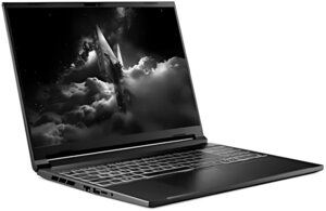 Acer Nitro V 16S AI ANV16S-61-R0DE