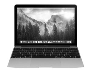 Apple Macbook 2015 MJY42F/A - 512 Go