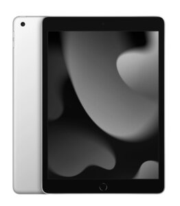 Apple iPad 10,2" - 256 Go Wi-Fi Argent (2021 - 9ème gen)