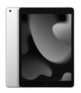 Apple iPad 10,2" - 256 Go + 4G Argent (2021 - 9ème gen)