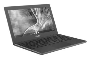 Asus Chromebook C204MA-GJ0074