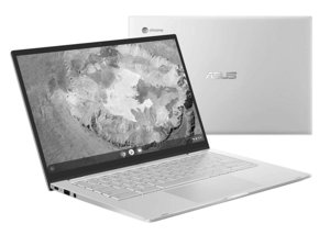 Asus Chromebook C425TA-H50013