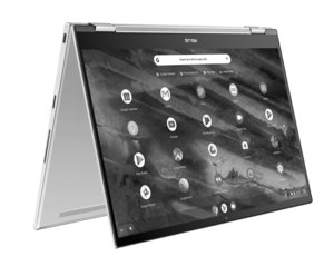 Asus Chromebook Flip C436FA-E10011