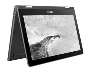 Asus Chromebook Flip C214MA-BW0103