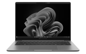 Asus ExpertBook P3 PM3606CKA-MB0306X