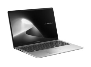 Asus ExpertBook PM1503CDA-S70011X