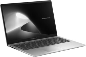 Asus ExpertBook P1 (90NX0881-M033M0)