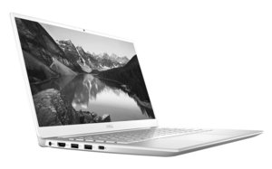 Dell Inspiron 14-5490 (DK5MC)