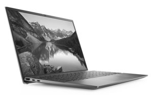 Dell Inspiron 13-5310-513 (41N4F)