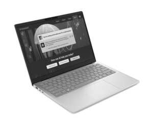 Dell 14 Plus (Core Ultra 7 / 16 Go / 512 Go / cndb1425006sc)