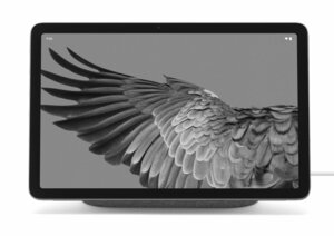 Google Pixel Tablet - Vert Sauge / Wi-Fi / 128 Go