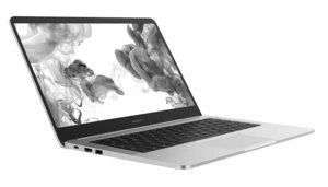 Huawei MateBook D 14 (53010FBW)