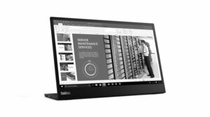 Lenovo ThinkVision M14 61DDUAT6EU