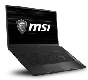 MSI GF75 Thin 8RD-074FR