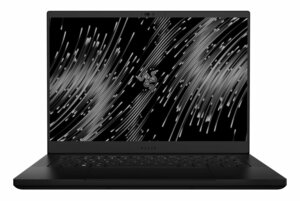 Razer Blade 14 2024 - RZ09-05081FD3-R3F1