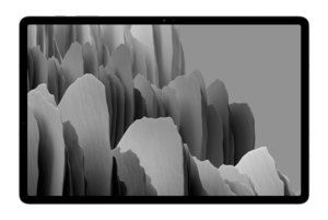 Samsung Galaxy Tab S7+ 128 Go WiFi (Argent SM-T970N)