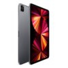 Apple iPad Pro 11" M1 (2021 / 256 Go / 5G Cellular)