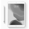 Apple iPad 10,2" - 128 Go Wi-Fi (2019 7ème gen)