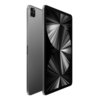 Apple iPad Pro 11" M1 (2021 / 2 To / 5G Cellular)