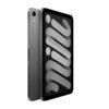 Apple iPad Mini 8,3" - 256 Go + 5G Gris sidéral (2021)