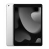 Apple iPad 10,2" - 256 Go + 4G Argent (2021 - 9ème gen)