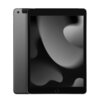 Apple iPad 10,2" - 256 Go + 4G Gris Sidéral (2021 - 9ème gen)