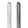 Apple iPad 10,2" - 256 Go + 4G Gris Sidéral (2021 - 9ème gen)