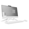 HP All-in-One 22-df0100nf