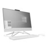 HP All-in-One 24-dp0060nf